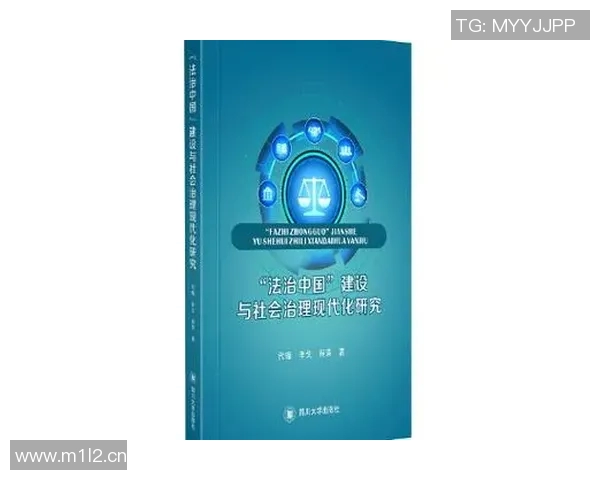 以法治为中心推动社会治理现代化路径探索与实践分析